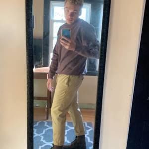 Meet your Posher, Ben